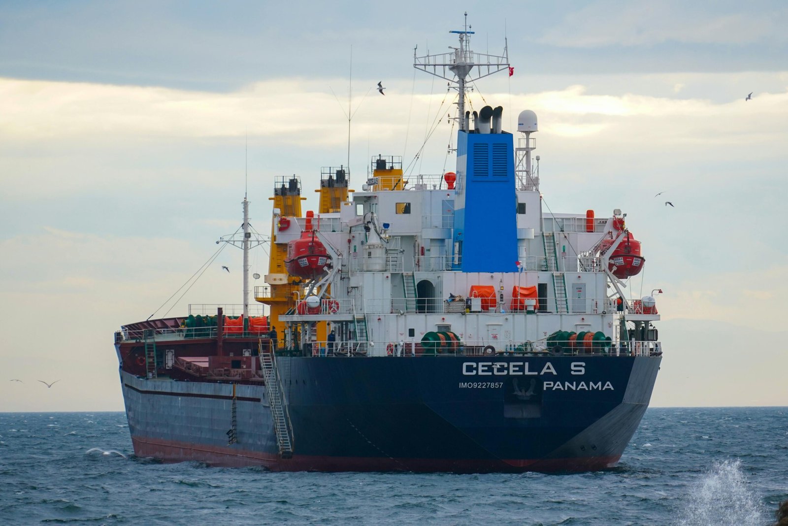 pexels fatih turan 63325184 8417259 (1)